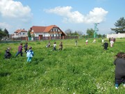 Čarodějnický karneval